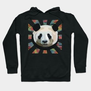 Striking Panda bear on glitched patterned rays Hoodie